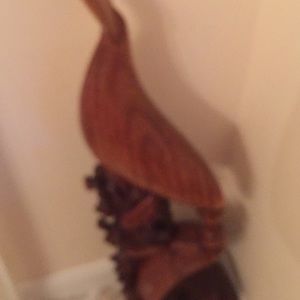 Meet your Posher, Lucy